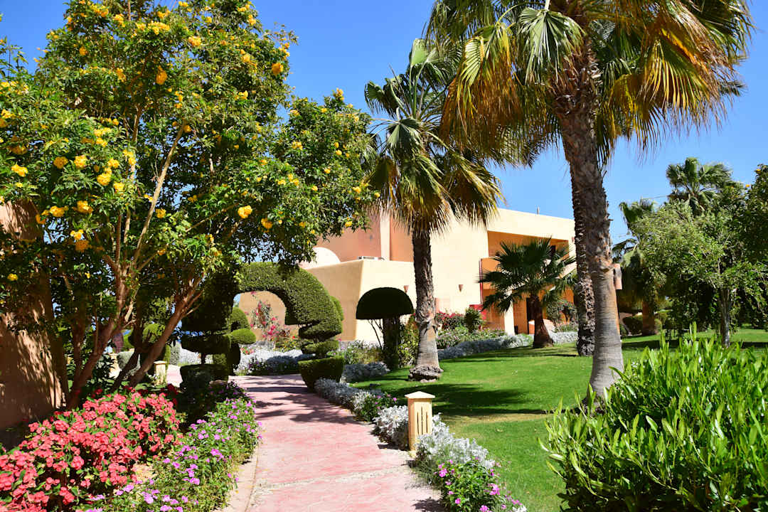 Gartenanlage Wadi Lahmy Azur Resort