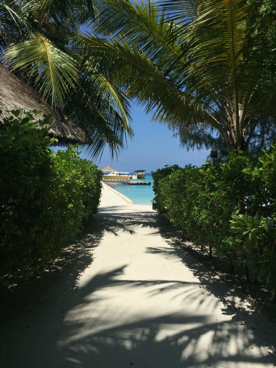 Gartenanlage Summer Island Maldives