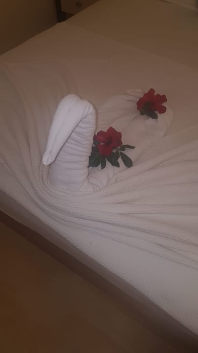 Zimmer Hotel Orfeus Park