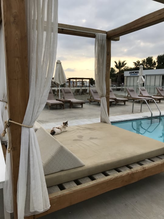 Pool Paralos Lifestyle Beach