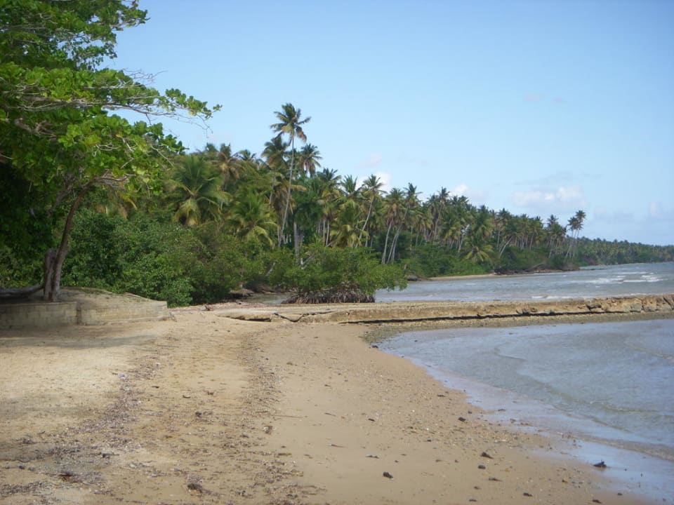 Hotel beach of bahia de los dioses samana hotel Beach Hotel Bahia De Los Dioses