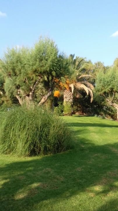 Gartenanlage Phãea Cretan Malia