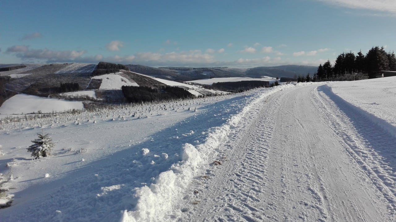 Sonstiges Ferienwohnung Sauerland Fernblick