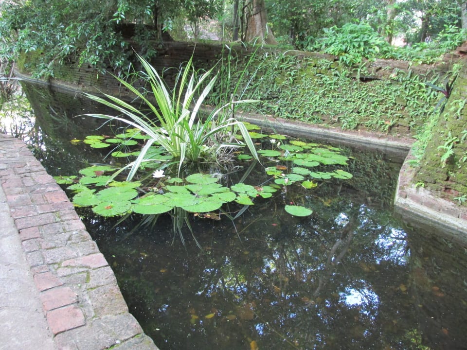 Пруд Sigiriya Village