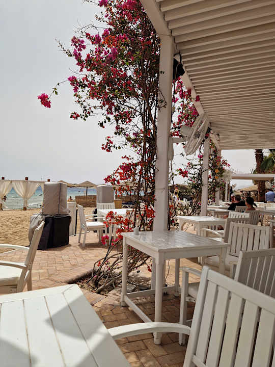 Strand Fort Arabesque Resort, Spa & Villas