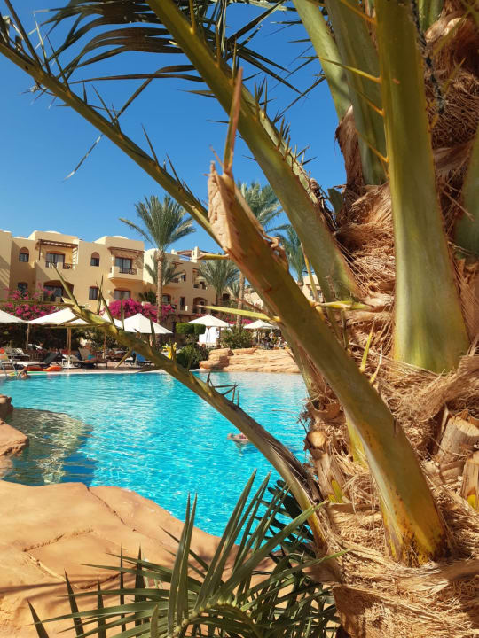 Pool Steigenberger Coraya Beach - Adults only