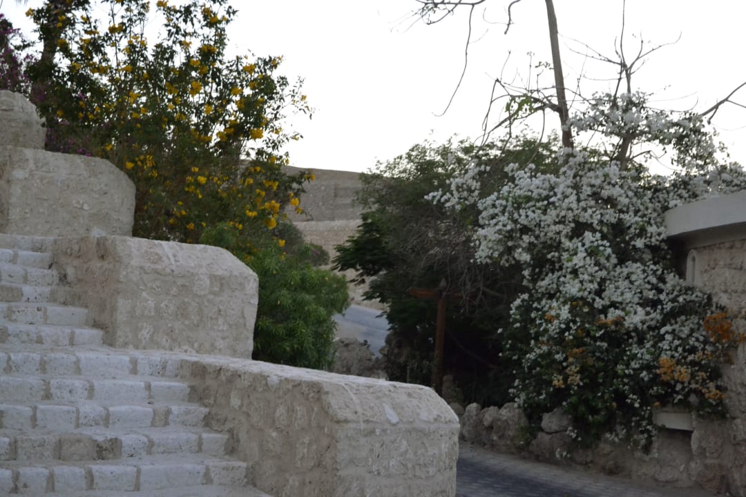 Anlage Pickalbatros Citadel Resort