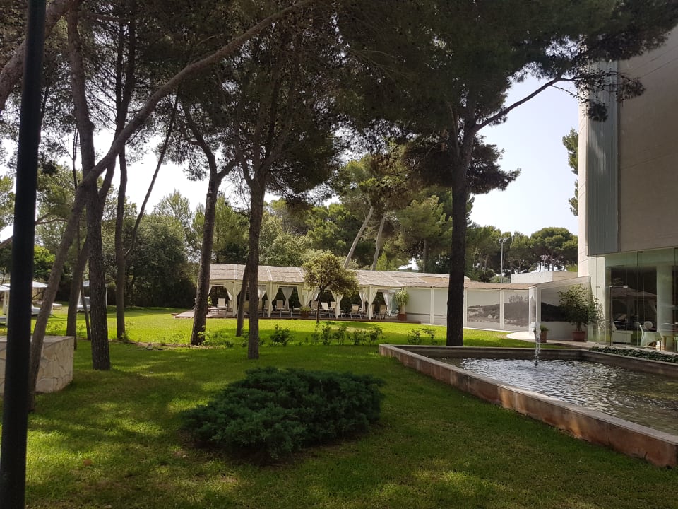 Garten Hotel Zafiro Alzinar Mar