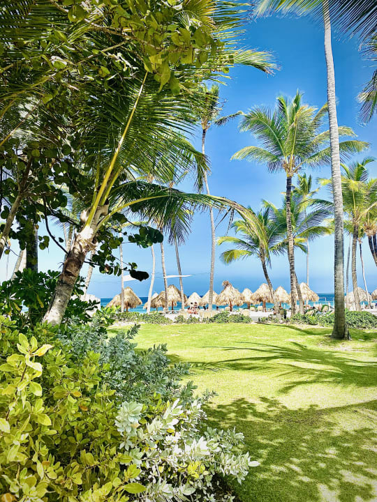 Strand Meliá Caribe Beach Resort-All Inclusive