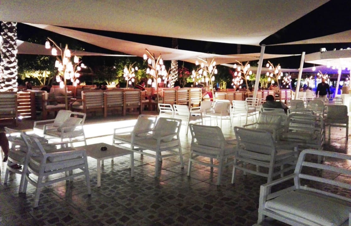 Sonstiges Desert Rose