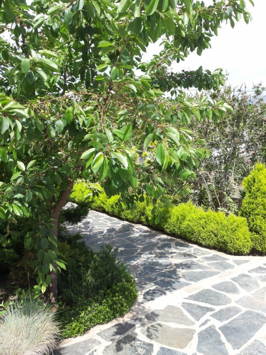 Photo2 Villa Camellia