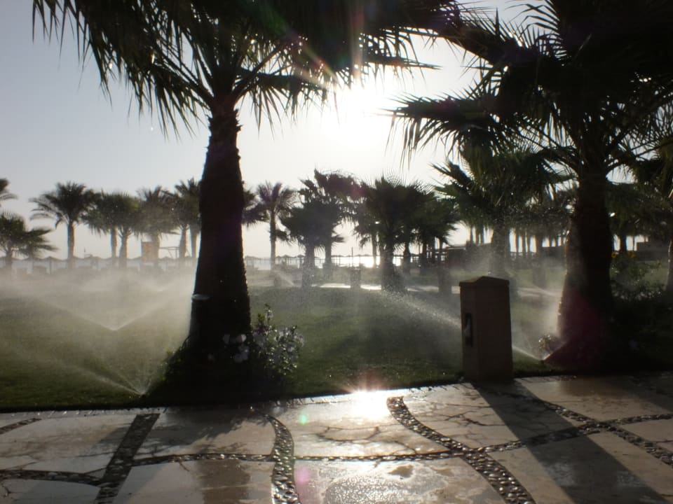 Gartenanlage Casa Mare Resort