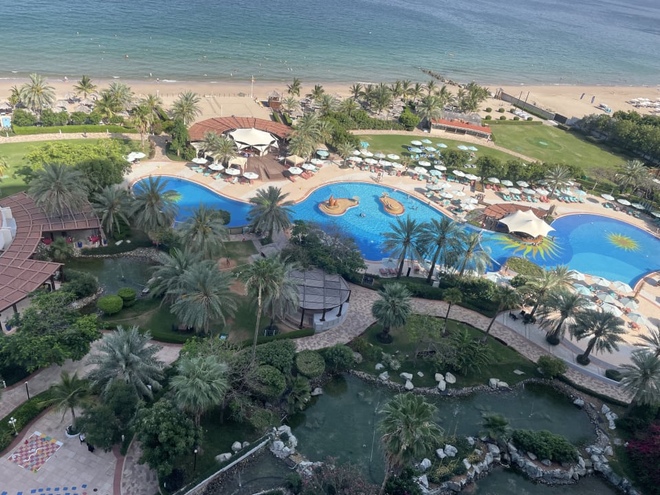 Zimmer Hotel Le Meridien Al Aqah Beach Resort