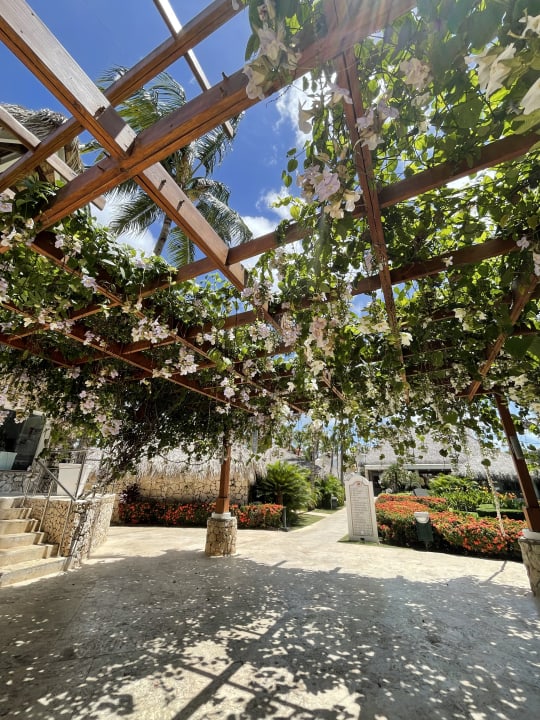 Gartenanlage Hotel Viva Dominicus Beach by Wyndham - All Inclusive Resort