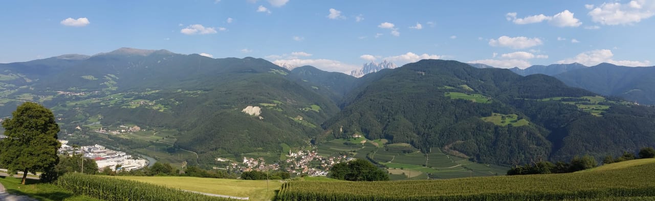 Dalle camere Albergo Wöhrmaurer Landgasthof Wöhrmaurer