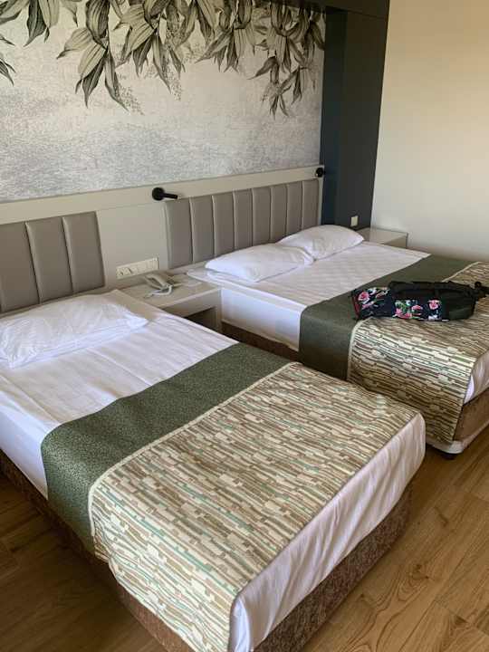 Zimmer Seaden Sea World Resort & Spa