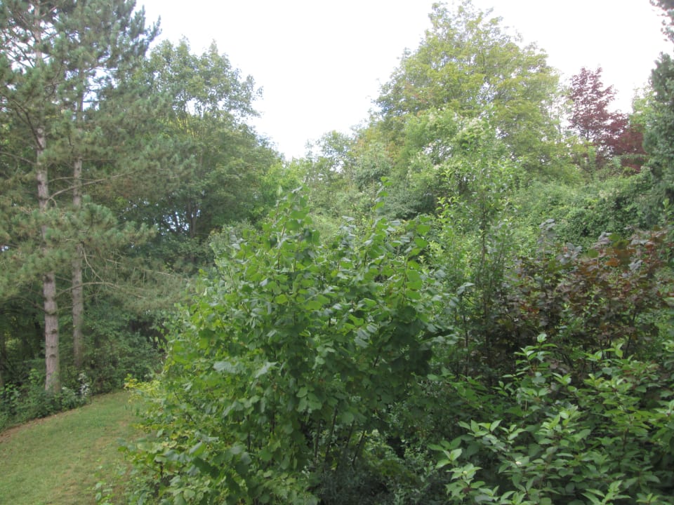 Ausblick vom Balkon Vitalhotel König am Park