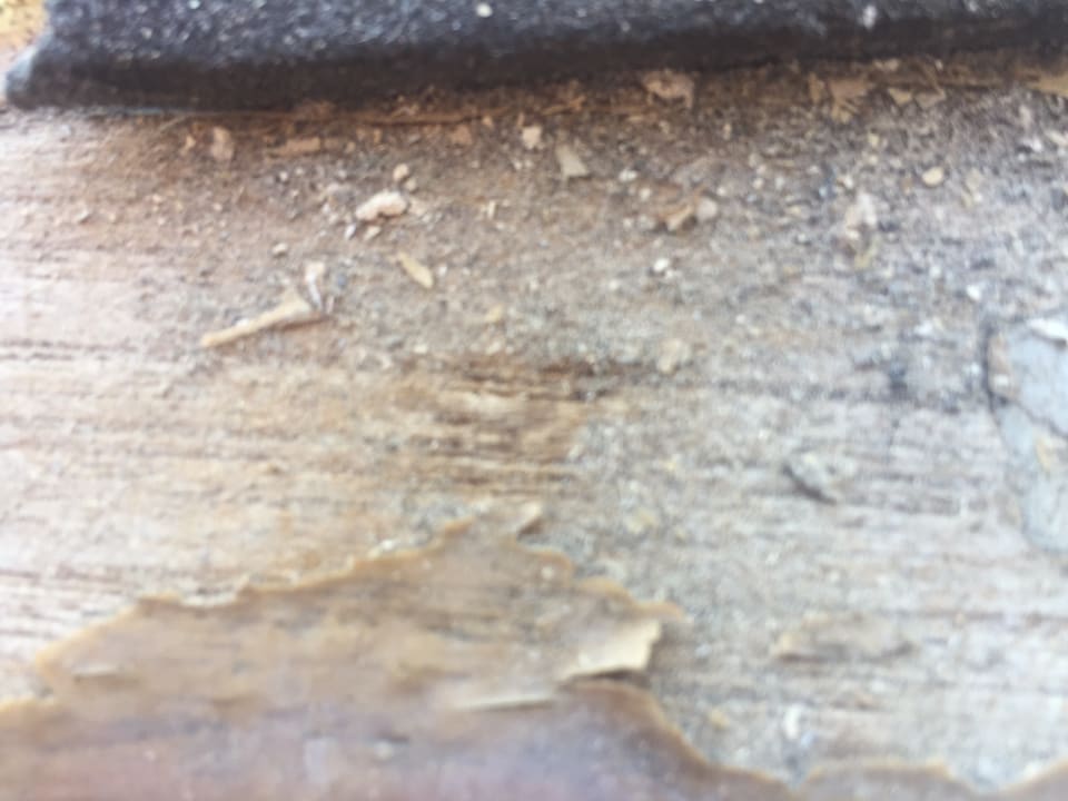 Zimmer Santa Maria Beach House