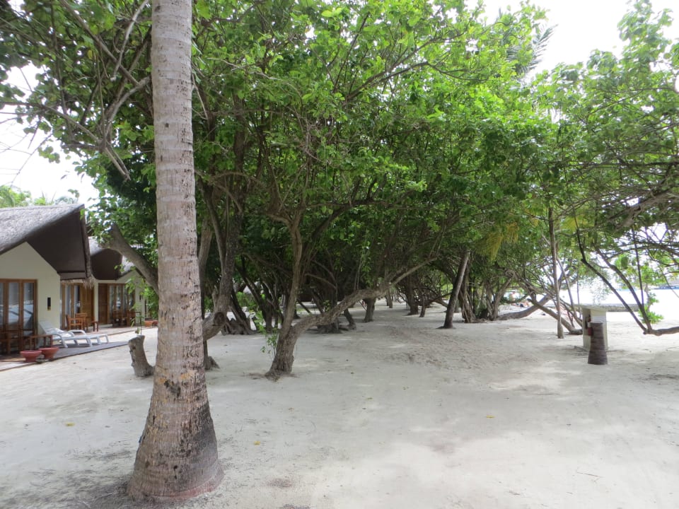 Spaziergang am Strand und den Beachvillen Adaaran Select Hudhuran Fushi - Premium All Inclusive