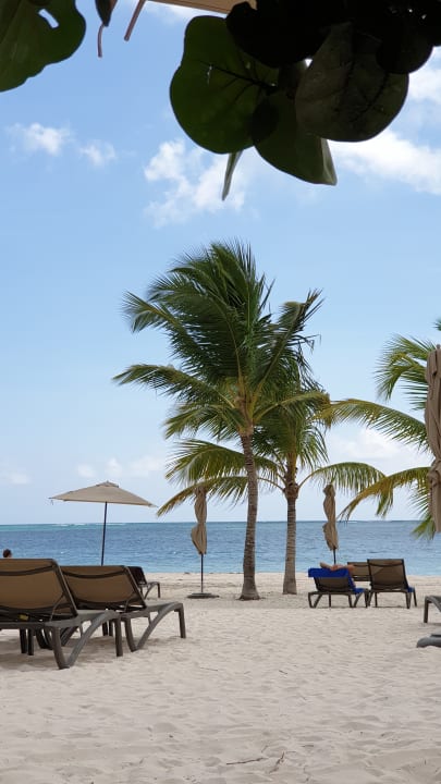 Strand Lopesan Costa Bávaro Resort, Spa & Casino