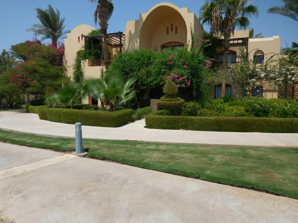 Gartenanlage Steigenberger Coraya Beach - Adults only