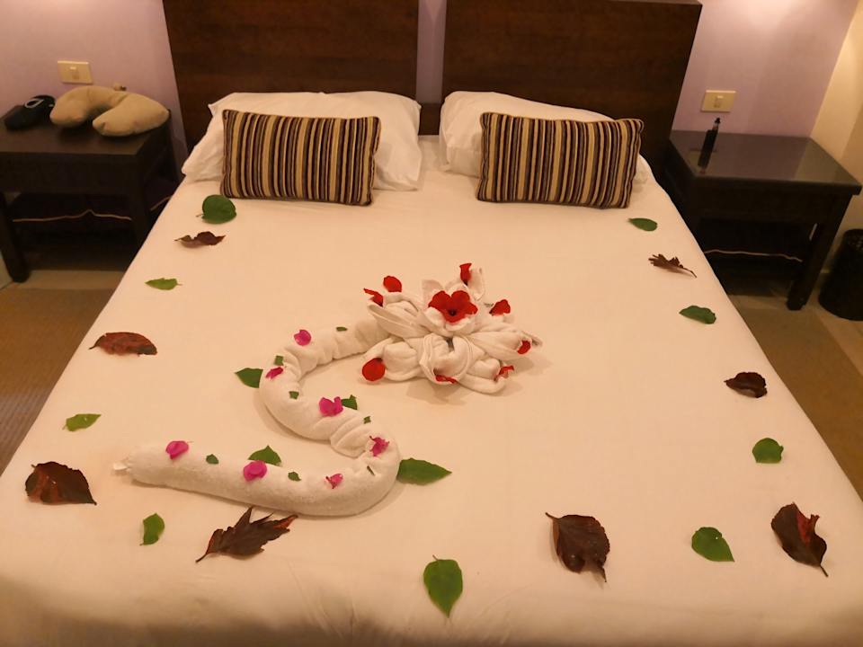 Zimmer JAZ Neo Saraya Palms