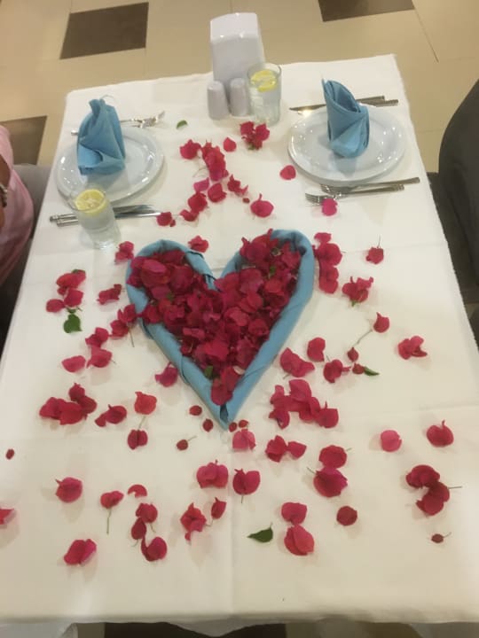 Gastro Calimera Hane Garden