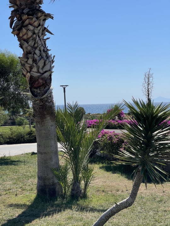 Gartenanlage Aquasis De Luxe Resort & Spa