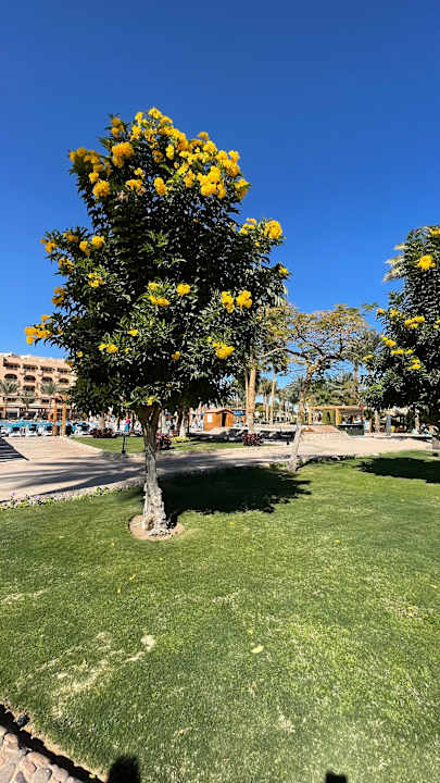 Gartenanlage Continental Hotel Hurghada