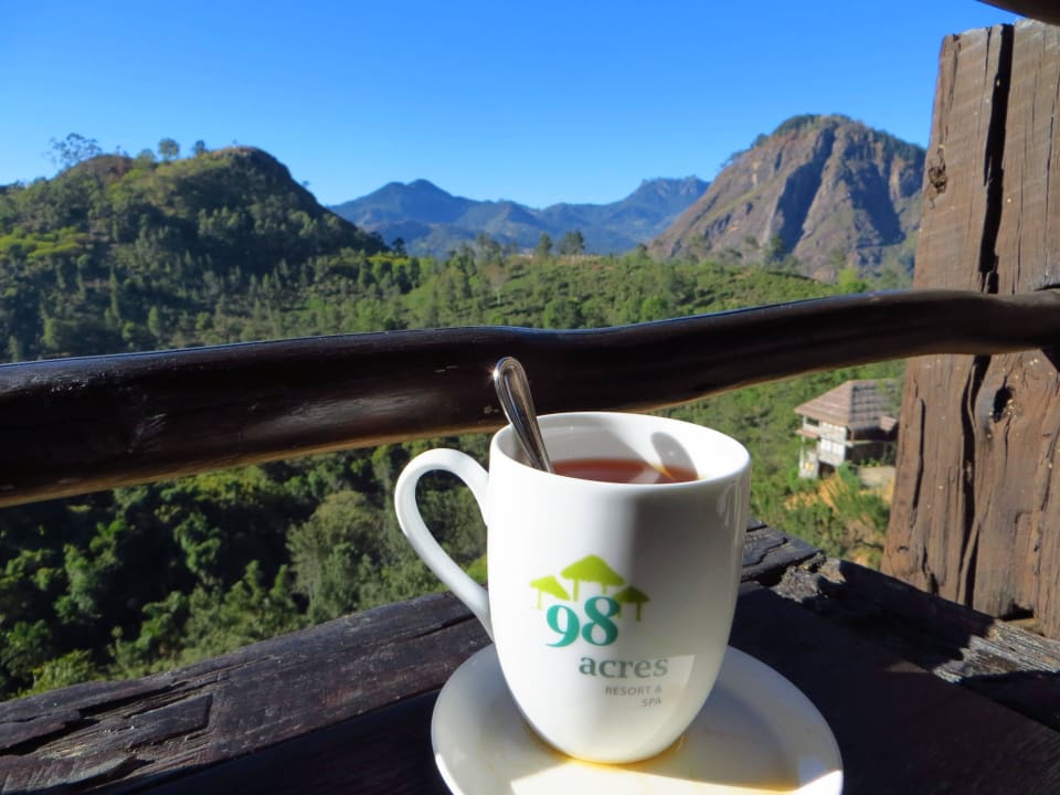 Teatime 98 Acres Resort
