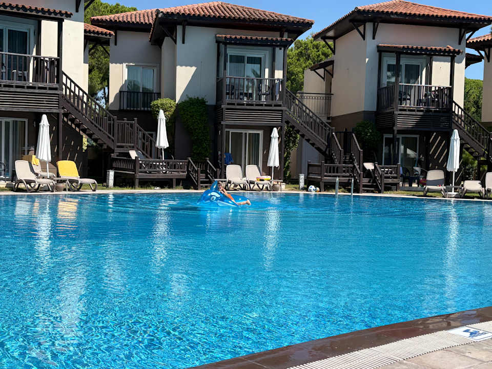 Pool Papillon Ayscha