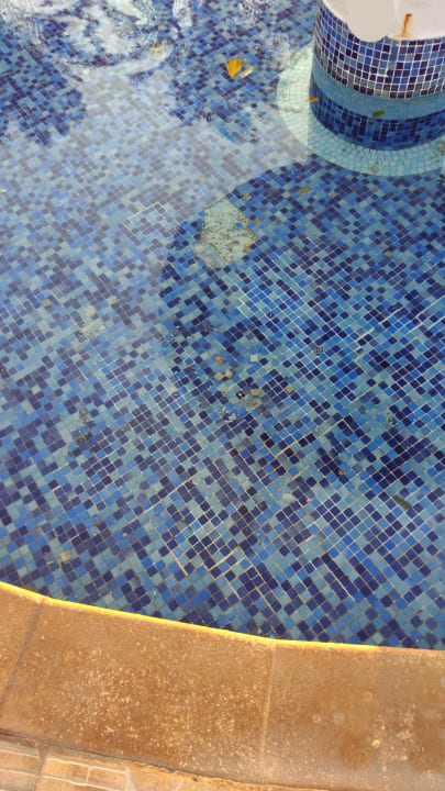 Pool Pickalbatros Golf Beach Resort