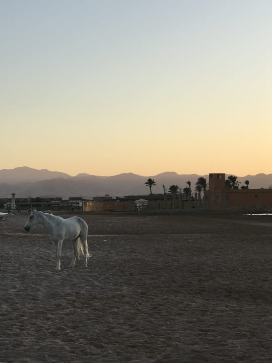 Sonstiges Sentido Caribbean World Soma Bay