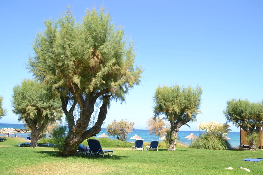 Gartenanlage Phãea Cretan Malia