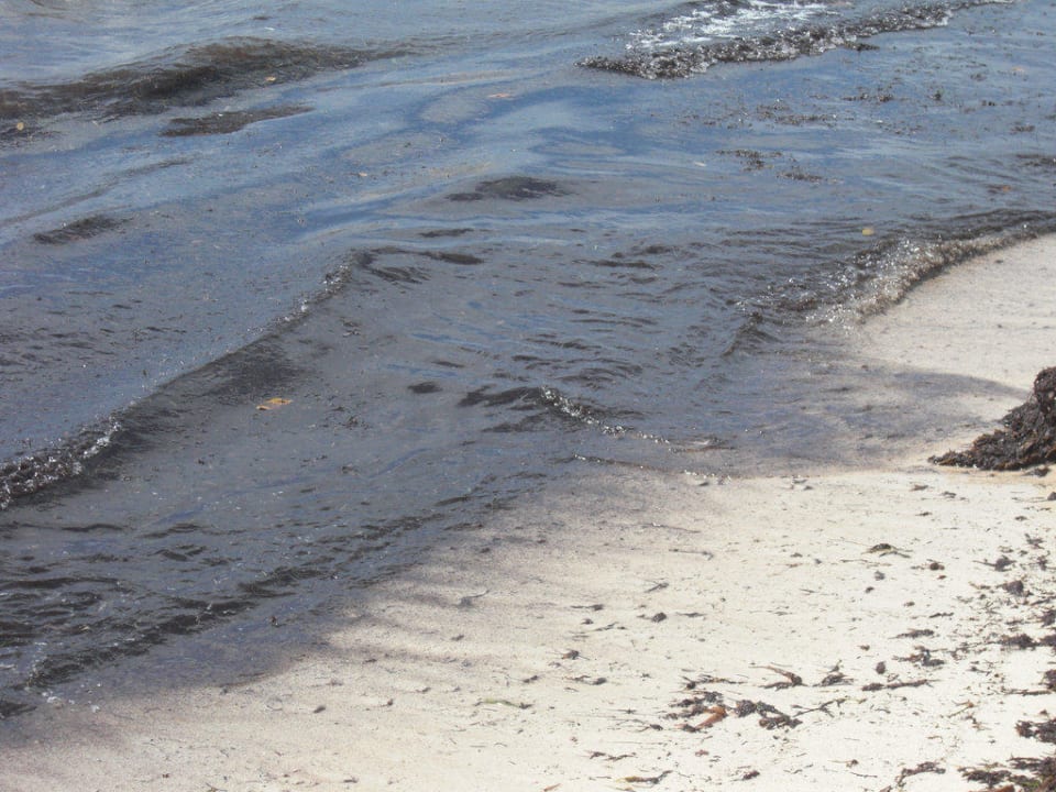 Keine Ölpest, nur normales Meer und Strand. BlueBay Grand Esmeralda