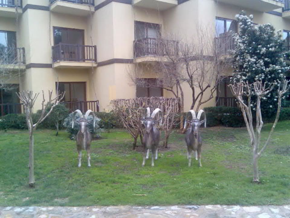 Garten Anlage Alba Resort Hotel