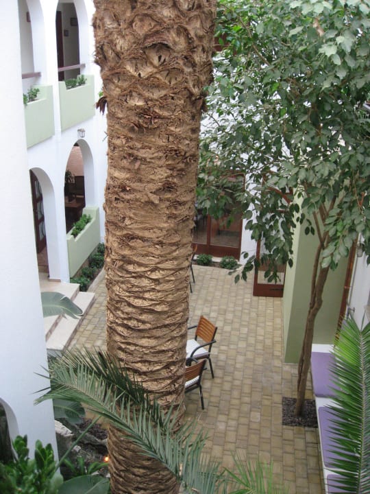 Aufenthaltsbereich im Innern nach oben offen Alianthos Garden Hotel