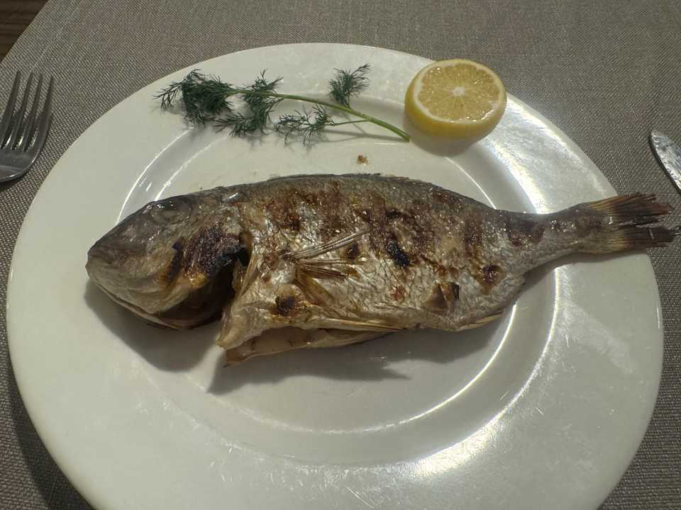 Gastro Castival Hotel