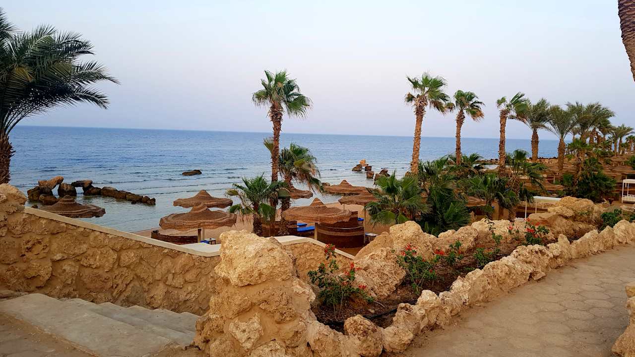 Ausblick Pickalbatros Citadel Resort