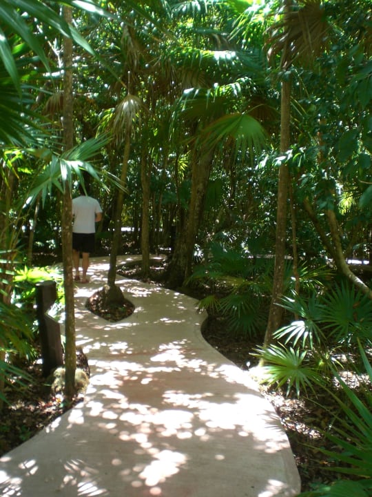 Gartenanlage Catalonia Playa Maroma