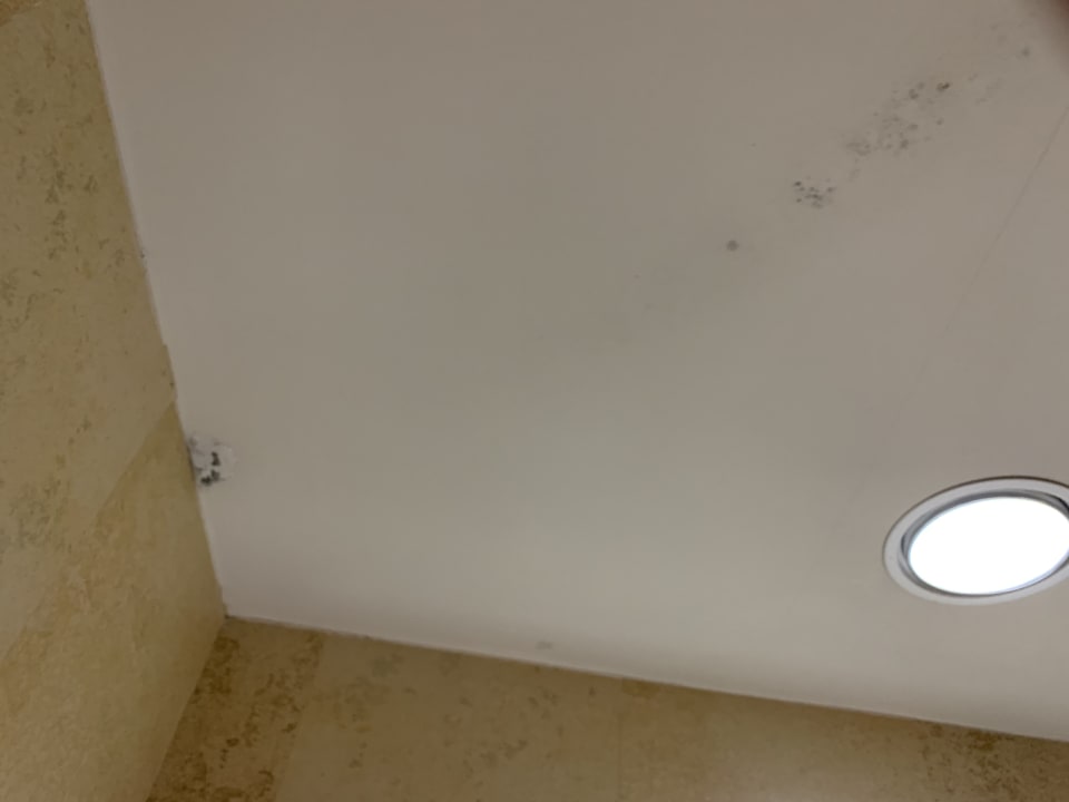 Zimmer Las Palmeras Affiliated by FERGUS