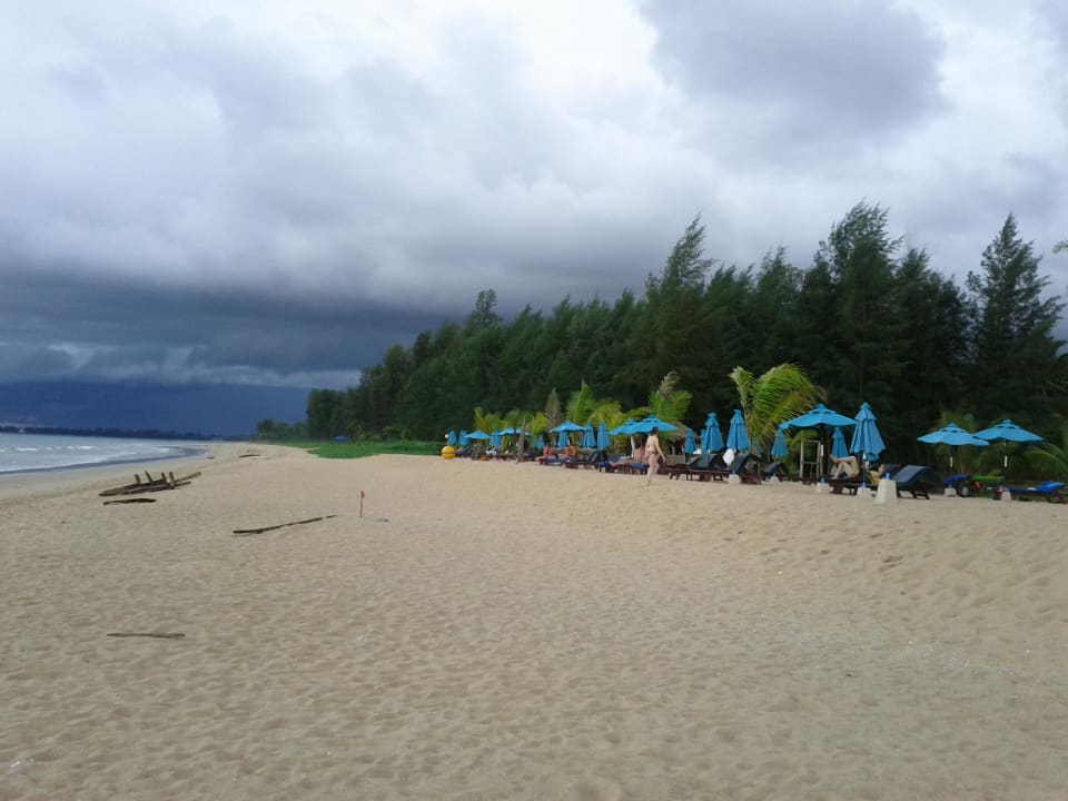 Liegen am Strand Khaolak Orchid Beach Resort