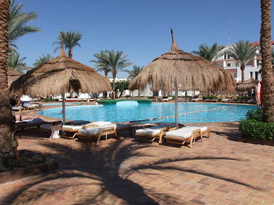 Ausblick auf den Pool Albatros Sharm Resort