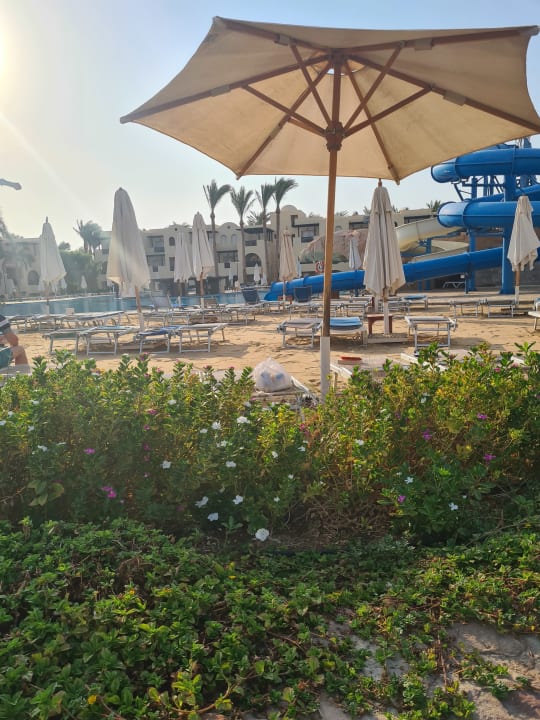 Pool Stella Garden Resort & Spa, Makadi Bay