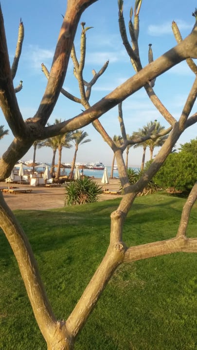 Einfach nur schön! Steigenberger Aqua Magic