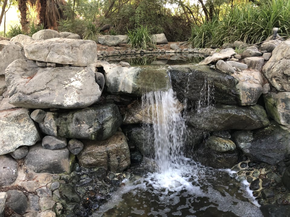 Gartenanlage JA Palm Tree Court