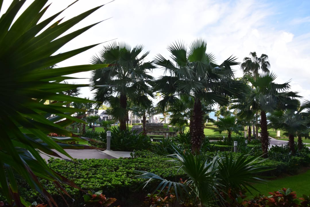 Wunderschöne Gartenanlage Hotel Riu Palace Peninsula