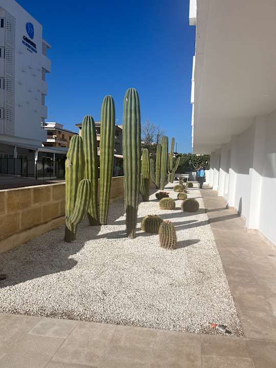 Sonstiges The Sea Hotel by Grupotel - Adults only