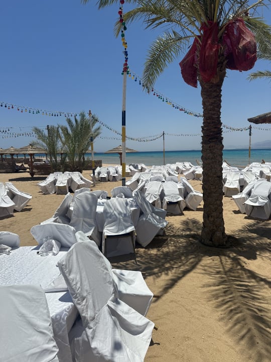 Gastro ROBINSON SOMA BAY