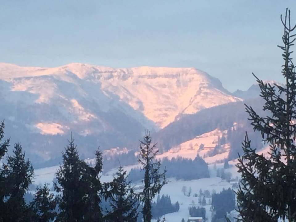Ausblick Häuserl im Wald